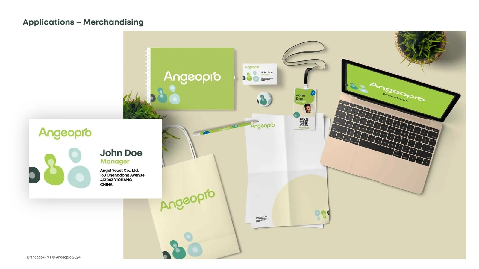 Angeopro — Rebuilding the Angeopro brand on 30 years of yeast-protein biotechnology