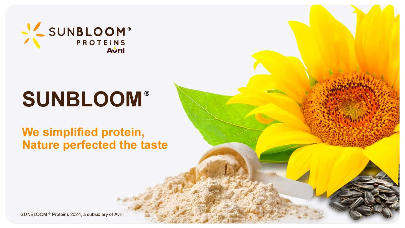 Sunbloom — Rewriting Sunbloom’s sales deck to sell the science behind its plant proteins