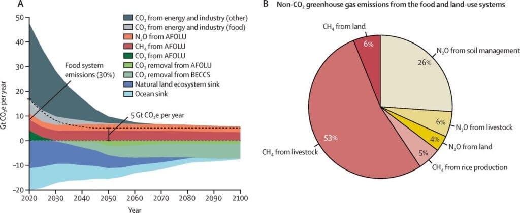 Le système alimentaire génère environ 30 % des émissions mondiales de GES, dominées par le méthane (53 %) et le protoxyde d’azote (26 %). Source : EAT-Lancet 2025.