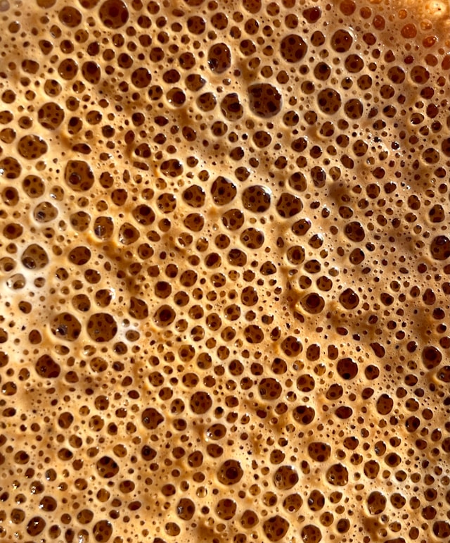 Quand les microbes redéfinissent le goût