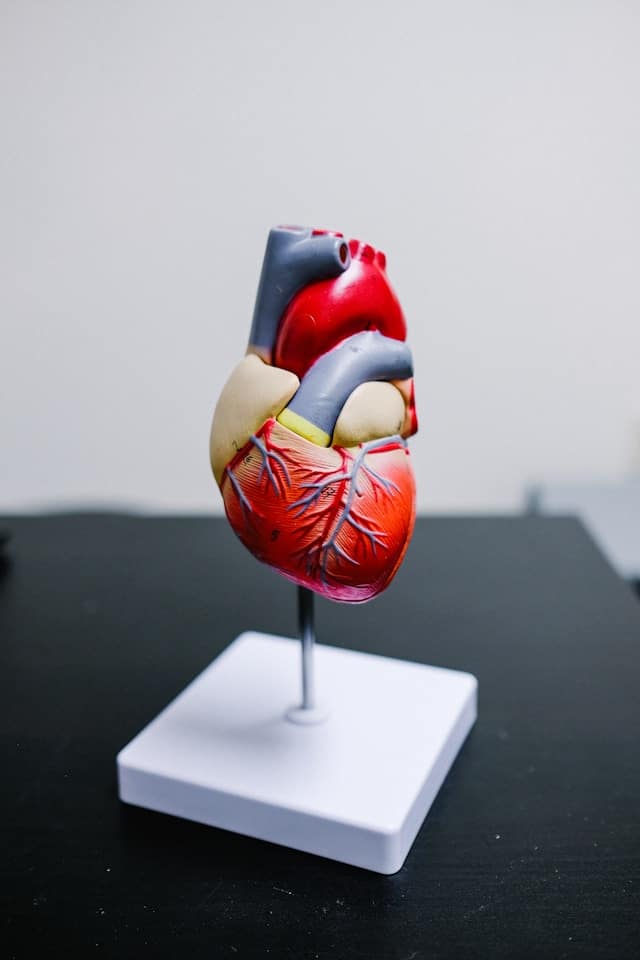 The invisible heart repair of a plant-based diet