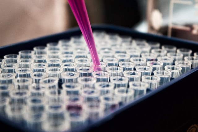 Ultra-processed foods and early-onset colorectal cancer: the study that reshuffles the deck