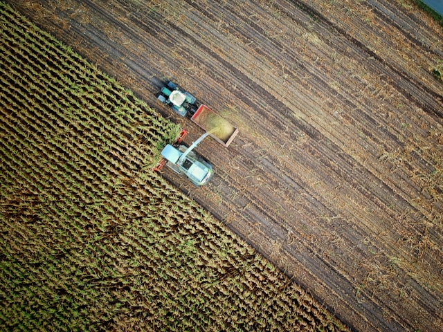 Food security in Europe 2025: The gap between perception and reality