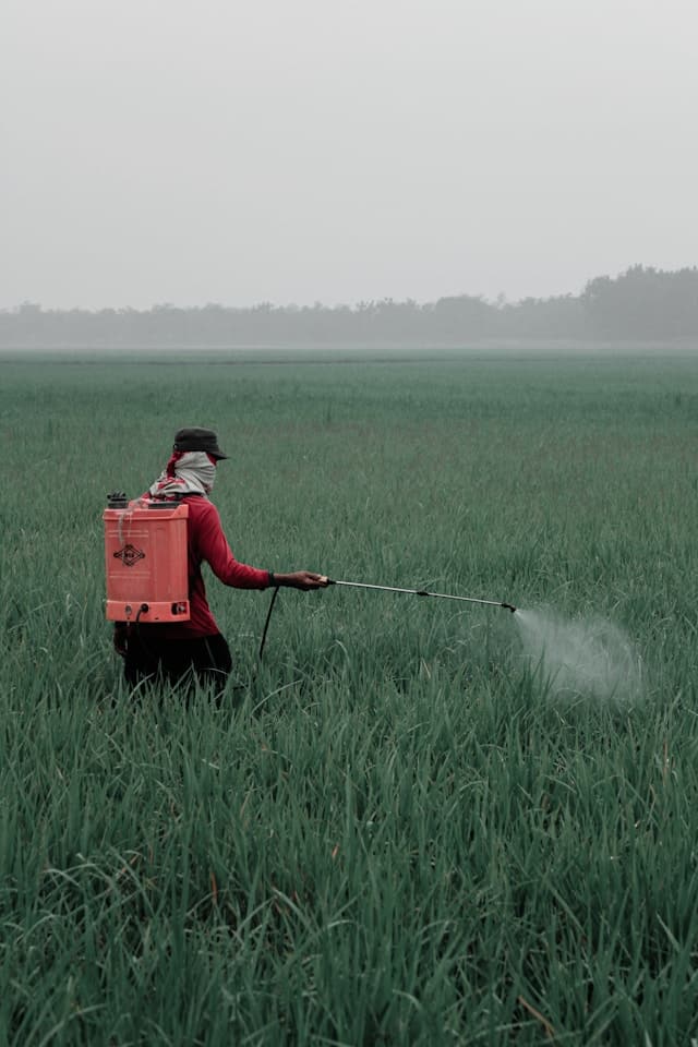 Pesticides et plastifiants : 168 contaminants toxiques pour le microbiote identifiés