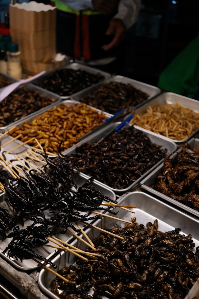 Si les Européens boudent les insectes, c’est peut-être génétique